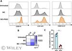 CD80 (B7-1) Antibody in Flow Cytometry (Flow)