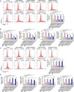 CD86 (B7-2) Antibody in Flow Cytometry (Flow)