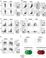 CD90.1 (Thy-1.1) Antibody in Flow Cytometry (Flow)