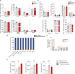 CD134 (OX40) Antibody in Flow Cytometry (Flow)