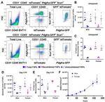 CD140a (PDGFRA) Antibody in Flow Cytometry (Flow)