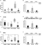 CD196 (CCR6) Antibody in Western Blot (WB)