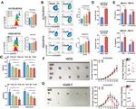 CD223 (LAG-3) Antibody in Flow Cytometry (Flow)