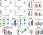 CD223 (LAG-3) Antibody in Flow Cytometry (Flow)
