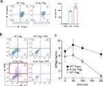 beta Catenin Antibody in Flow Cytometry (Flow)