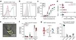 CD279 (PD-1) Antibody in Flow Cytometry (Flow)
