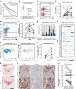 CD279 (PD-1) Antibody in Flow Cytometry (Flow)