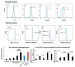 CD294 (CRTH2) Antibody in Flow Cytometry (Flow)