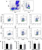 CD335 (NKp46) Antibody in Flow Cytometry (Flow)