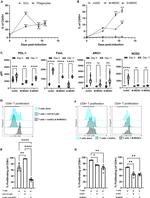 Arginase 1 Antibody in Flow Cytometry (Flow)