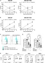 Arginase 1 Antibody in Flow Cytometry (Flow)