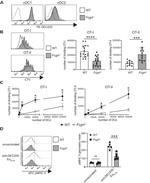 Ea52-68 peptide bound to I-Ab Antibody in Flow Cytometry (Flow)