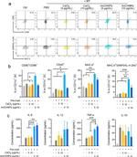 OVA257-264 (SIINFEKL) peptide bound to H-2Kb Antibody in Flow Cytometry (Flow)