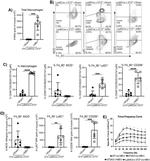 iNOS Antibody in Flow Cytometry (Flow)