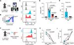 Tmem119 Antibody in Flow Cytometry (Flow)