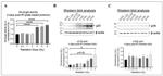 p16INK4a Antibody in Western Blot (WB)