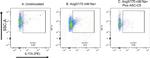 IL-17A Antibody in Flow Cytometry (Flow)