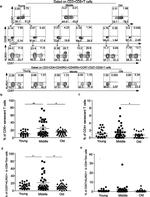 KLRG1 Antibody in Flow Cytometry (Flow)