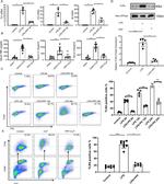 CD284 (TLR4) Antibody in Flow Cytometry (Flow)