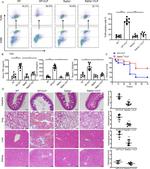 CD284 (TLR4) Antibody in Flow Cytometry (Flow)