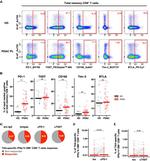 TIGIT Antibody in Flow Cytometry (Flow)