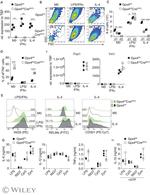RELM alpha Antibody in Flow Cytometry (Flow)