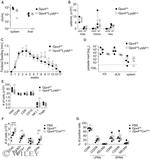 RELM alpha Antibody in Flow Cytometry (Flow)