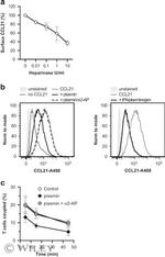 CCL21 Antibody in Flow Cytometry (Flow)