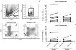 IFN gamma Antibody in Flow Cytometry (Flow)