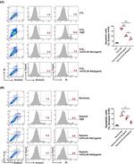 CCL20 Antibody in Neutralization (Neu)