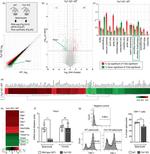 Thrombospondin 1 Antibody in Flow Cytometry (Flow)