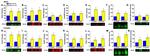 NMDAR2B Antibody in Western Blot (WB)
