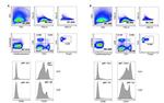 FOXP3 Antibody in Flow Cytometry (Flow)