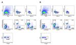 FOXP3 Antibody in Flow Cytometry (Flow)