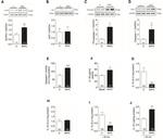 NLRP3 Antibody in Western Blot (WB)