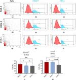 Langerin Antibody in Flow Cytometry (Flow)