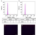 TMEM119 Antibody in Flow Cytometry (Flow)