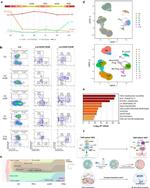 CD34 Monoclonal Antibody (581), PE