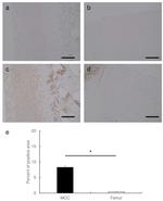 PIK3CD Antibody in Immunohistochemistry (IHC)