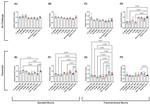 MUC1 Antibody in Western Blot (WB)
