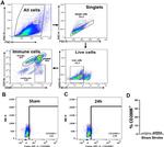CD200R Antibody in Flow Cytometry (Flow)