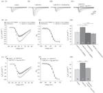NTF3 Antibody in Neutralization (Neu)