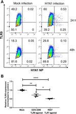 Influenza A NP Antibody in Flow Cytometry (Flow)