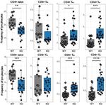 CD8 alpha Antibody in Flow Cytometry (Flow)