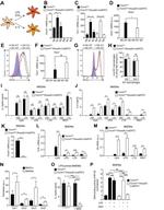RELM alpha Antibody in Flow Cytometry (Flow)