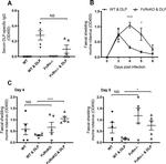 Rotavirus Antibody in ELISA (ELISA)