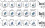 CD8 alpha Antibody in Flow Cytometry (Flow)