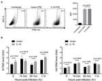 Influenza A H1N1 HA Antibody in Flow Cytometry (Flow)
