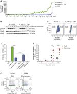 RELM alpha Antibody in Flow Cytometry (Flow)
