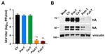 Influenza A H1N1 NA Antibody in Western Blot (WB)